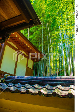 【京都風景】青蓮院 龍心池が魅せる趣きある庭 【京都風景】青蓮院 龍心池が魅せる趣きある庭 129684038