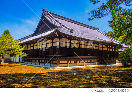 【京都風景】青蓮院 龍心池が魅せる趣きある庭 【京都風景】青蓮院 龍心池が魅せる趣きある庭 129684039