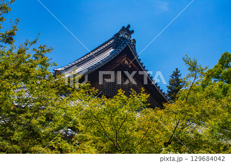 【京都風景】青蓮院　龍心池が魅せる趣きある庭 129684042