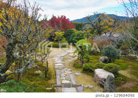 大原　実光院　旧理覚院庭園　美しい紅葉の庭（京都府京都市左京区） 129684098