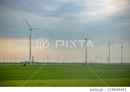Wind Turbines in a Green Field Wind Turbines in a Green Field 129684441