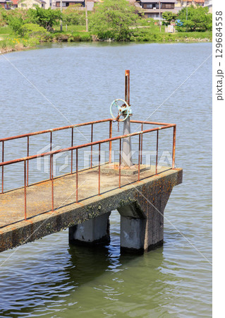 潰目池にある水門とハンドル(兵庫県加古川市) 潰目池にある水門とハンドル(兵庫県加古川市) 129684558