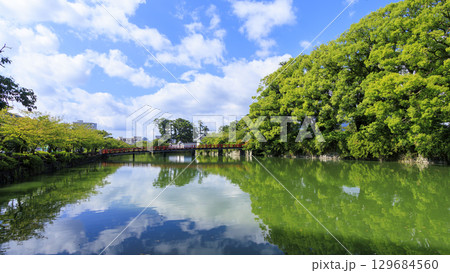小田原城址の夏 小田原城址の夏 129684560
