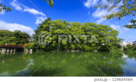 小田原城址の夏 小田原城址の夏 129684564