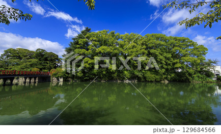 小田原城址の夏 129684566