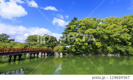 小田原城址の夏 129684567