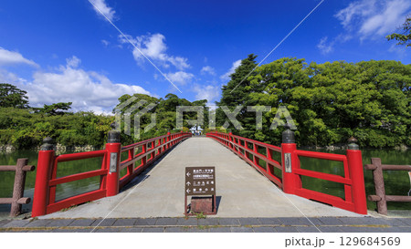 小田原城址の夏 小田原城址の夏 129684569