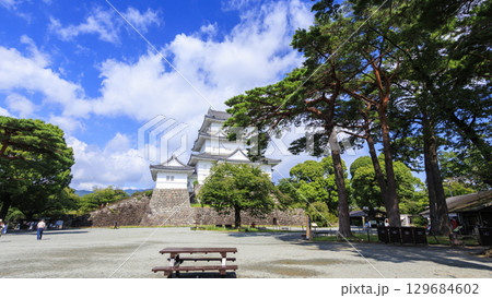 小田原城址の夏 129684602