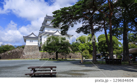 小田原城址の夏 129684604