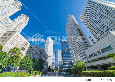 「東京都」新宿新都心のビル群を見上げる 129684789