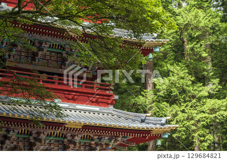 夏の日光　東照宮の五重塔 129684821