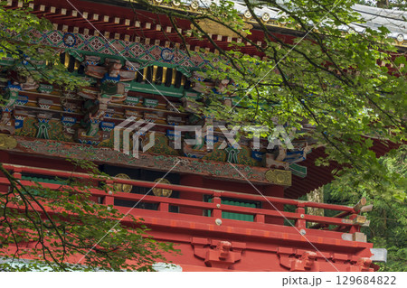 夏の日光 東照宮の五重塔 夏の日光 東照宮の五重塔 129684822