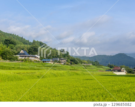 里山に広がる棚田の風景 里山に広がる棚田の風景 129685082
