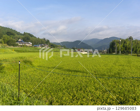 里山に広がる棚田の風景 129685083