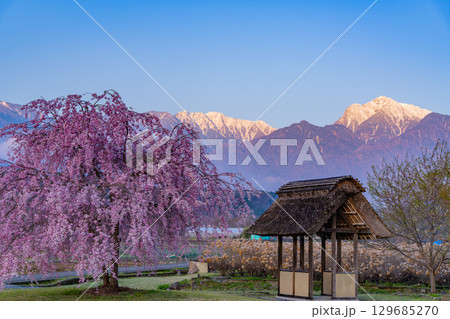 【山梨県北杜市武川町】水車の里公園 桜と水車と南アルプス 夜明け 【山梨県北杜市武川町】水車の里公園 桜と水車と南アルプス 夜明け 129685270