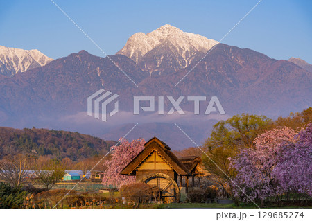 【山梨県北杜市武川町】水車の里公園　桜と水車と南アルプス　夜明け 129685274