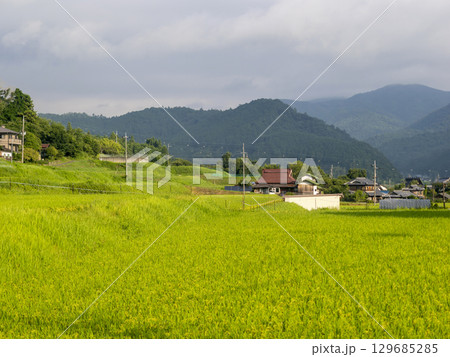 里山に広がる棚田の風景 129685285