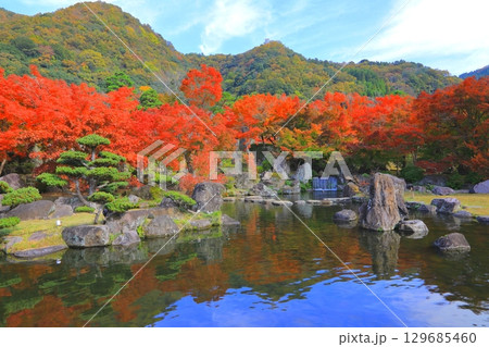 秋の耶馬溪（溪石園・中津市） 129685460
