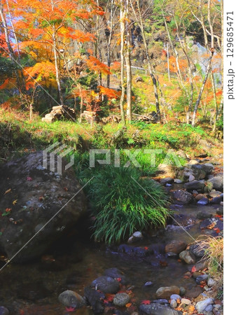 秋の神角寺渓谷(豊後大野市・縦構図) 秋の神角寺渓谷(豊後大野市・縦構図) 129685471