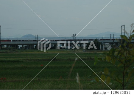 秋の田園地帯を走る 129685855