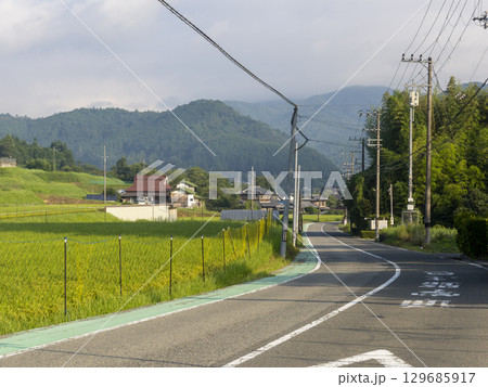 里山を通る道路と棚田の風景 129685917