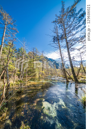「長野県」秋の美しい岳沢湿原の風景 上高地 「長野県」秋の美しい岳沢湿原の風景 上高地 129686021