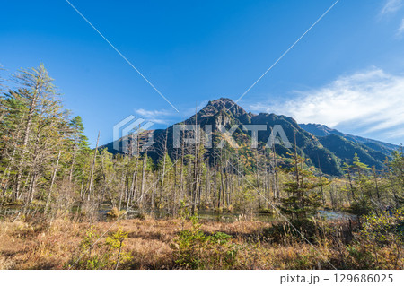 「長野県」秋の美しい岳沢湿原の風景 上高地 「長野県」秋の美しい岳沢湿原の風景 上高地 129686025