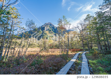 「長野県」秋の美しい岳沢湿原の風景 上高地 「長野県」秋の美しい岳沢湿原の風景 上高地 129686035