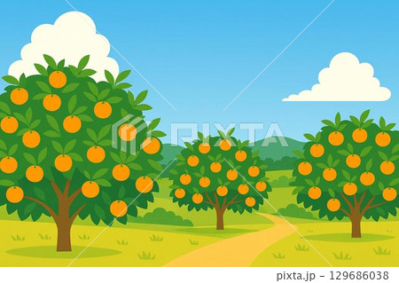 果樹園　みかん 129686038