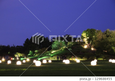 2025年 後楽園、夏の夜を彩る幻想庭園 2025年 後楽園、夏の夜を彩る幻想庭園 129686455
