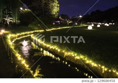 2025年 後楽園、夏の夜を彩る幻想庭園 129686458