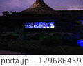 2025年 後楽園、夏の夜を彩る幻想庭園 129686459