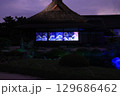 2025年 後楽園、夏の夜を彩る幻想庭園 129686462