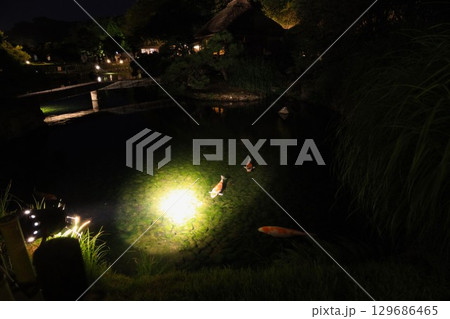 2025年 後楽園、夏の夜を彩る幻想庭園 129686465