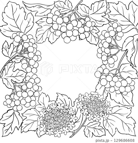 Guelder Rose Branch with Berries Outline Frame. Guelder Rose Branch with Berries Outline Frame. 129686608