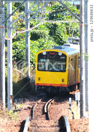 軽便鉄道の電車 軽便鉄道の電車 129686632