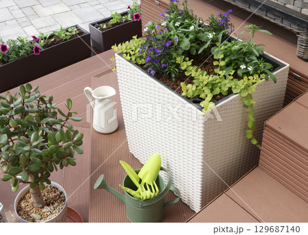 Flower arrangement in a wicker pot. Ampel white and purple lobelia. Garden tools. Top view. Flower arrangement in a wicker pot. Ampel white and purple lobelia. Garden tools. Top view. 129687140