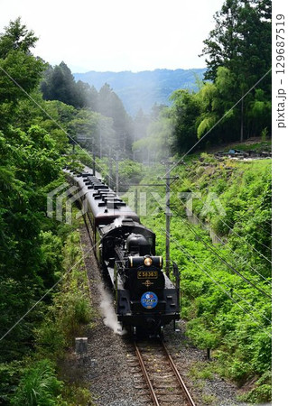 秩父鉄道 影森駅目指し急こう配を驀進する SLパレオエクスプレス 秩父鉄道 影森駅目指し急こう配を驀進する SLパレオエクスプレス 129687519