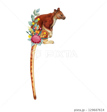 Tree kangaroo with floral decor vintage style hand drawn illustration on white background. Dendrolagus goodfellowi Goodfellow's tree-kangaroo New Guinea marsupial tropical forest mammal portrait 129687614