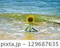 太陽の晴れた空に咲く向日葵は夏の花 129687635
