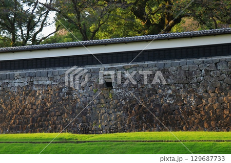 歴史と自然が調和する加藤清正ゆかりの熊本城　《熊本県》 129687733