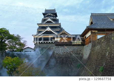 歴史と自然が調和する加藤清正ゆかりの熊本城　《熊本県》 129687758