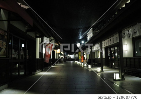 歴史と自然が調和する加藤清正ゆかりの熊本城 《熊本県》 歴史と自然が調和する加藤清正ゆかりの熊本城 《熊本県》 129687770