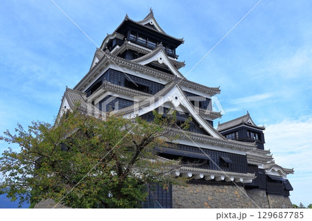 歴史と自然が調和する加藤清正ゆかりの熊本城 《熊本県》 歴史と自然が調和する加藤清正ゆかりの熊本城 《熊本県》 129687785