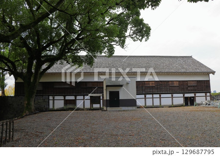 歴史と自然が調和する加藤清正ゆかりの熊本城 《熊本県》 歴史と自然が調和する加藤清正ゆかりの熊本城 《熊本県》 129687795