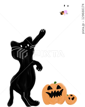 ハロウィン猫 129688174