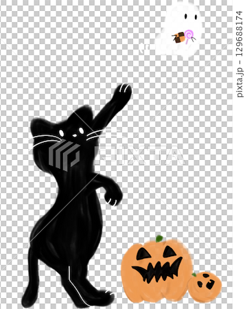 Halloween cat 129688174