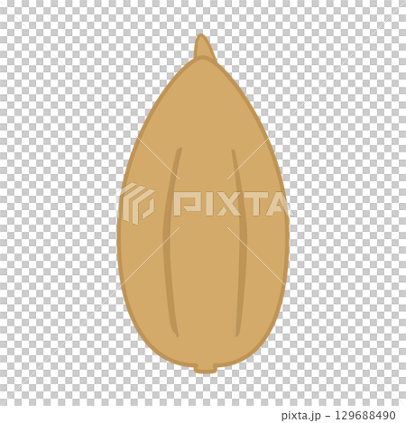 Fir illustration color 129688490