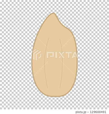 Brown rice illustration color Brown rice illustration color 129688491