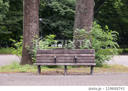 公園のベンチのある風景 129688741